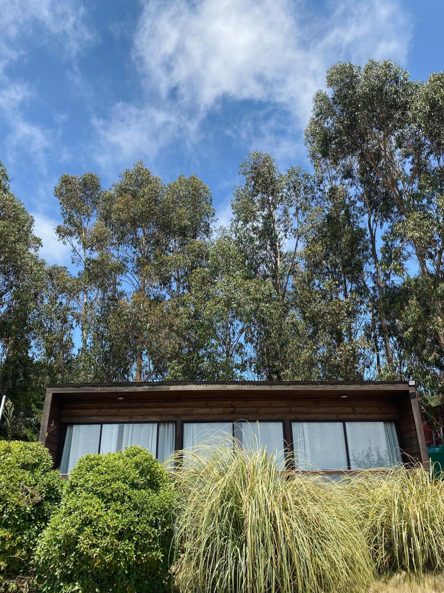 Lovel-van Camping Curanipe