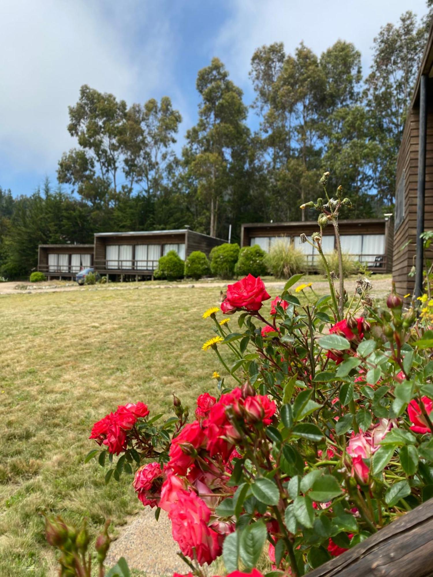 Campsite Lovel-van Curanipe